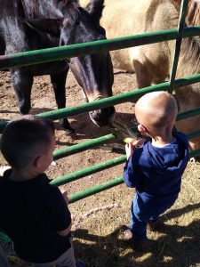 pre-kindergarten at Hope Lutheran Idaho Falls